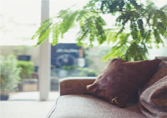 上の子にやつあたり～子育て相談室の画像1