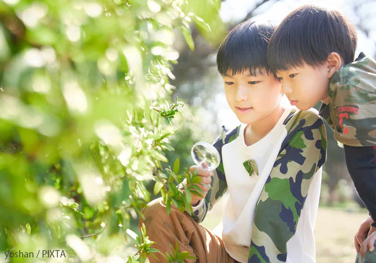 虫眼鏡と子どもたち