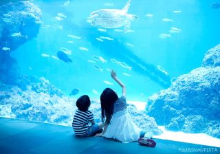 自由研究のネタにも！子どもの「探求学習」のきっかけになる５冊