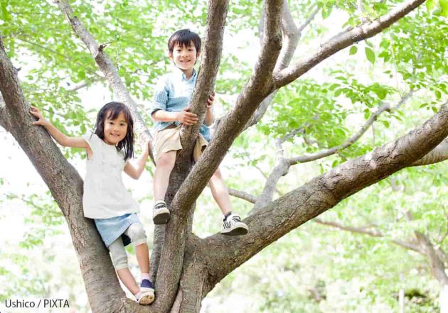 木登りをする子ども