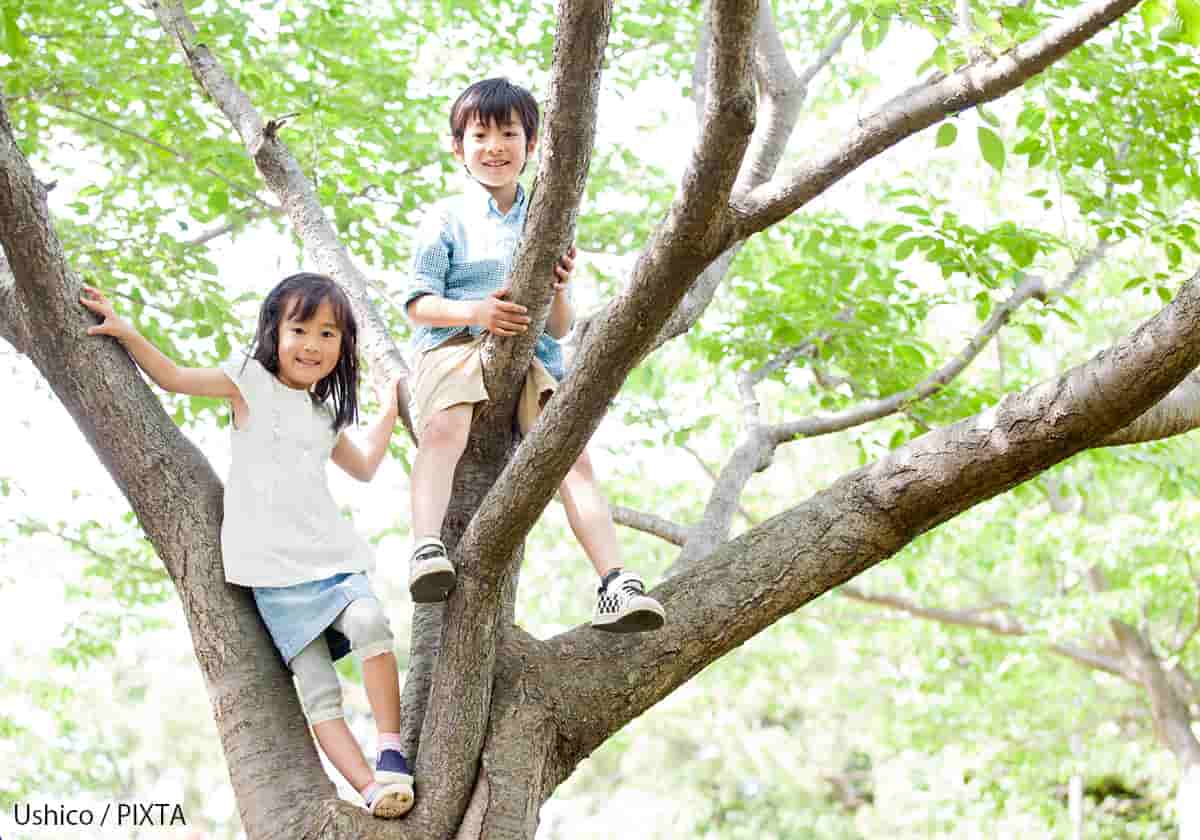 木登りをする子ども