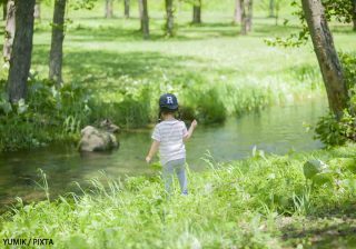 発達障害の子の入園を拒否された…許される？ 知っておきたい「子育てと法律」