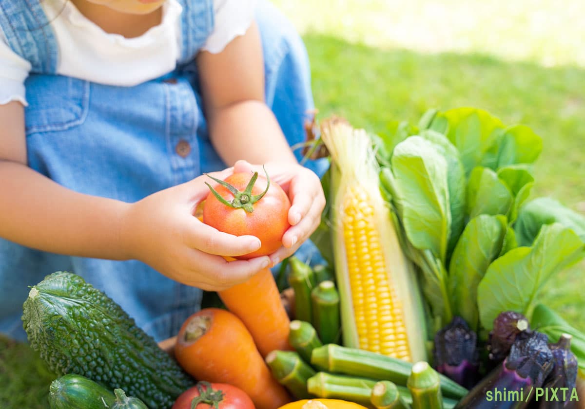 子どもと野菜