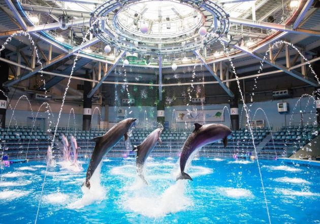 暑い日も安心！　夏休みにおすすめの東京のお出かけスポット４選【2023年】の画像3