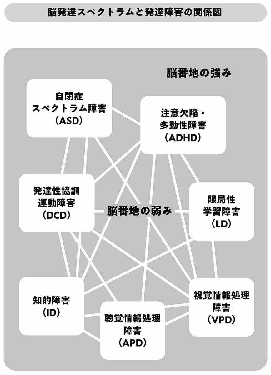 脳発達スペクトラムと発達障害の関係図
