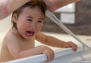 子どもの頭に小さな虫が…シラミ発見！　医師が教える3つの対処法と家族への広がり防止策