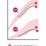 食事を減らさないほうがいい成長曲線のイメージ図