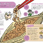 納豆の不思議