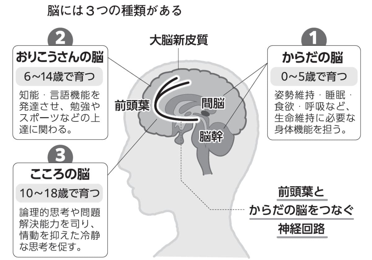 子育てを変えれば脳が変わる