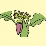 なぞなぞ世界一周