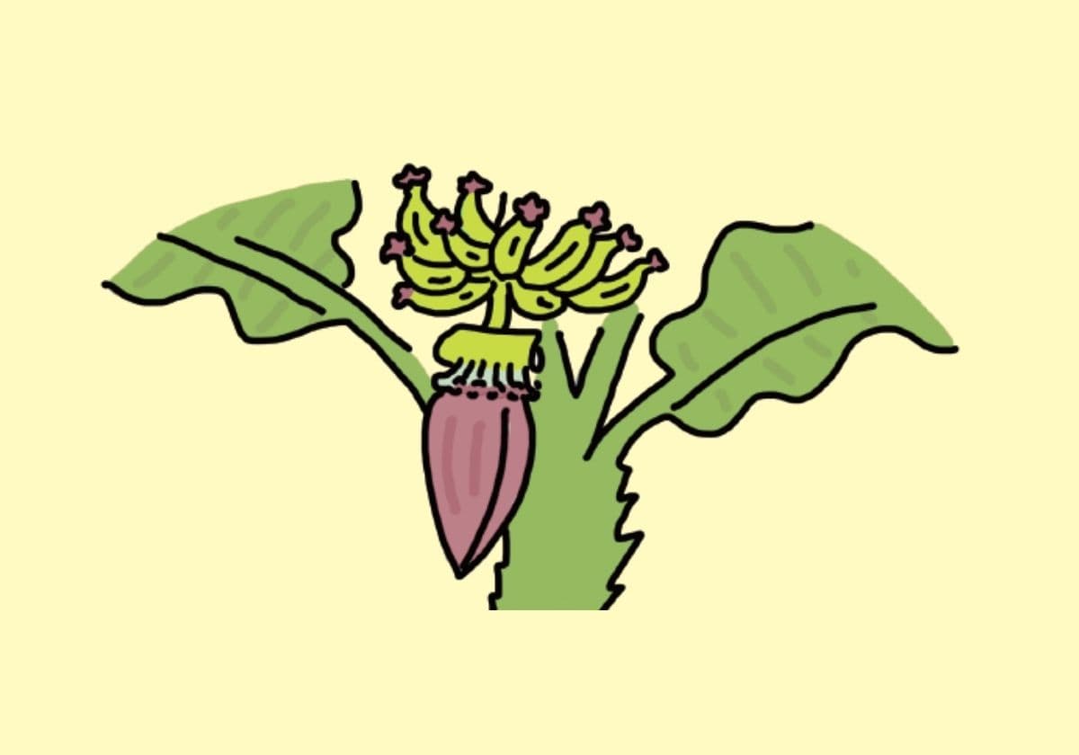 なぞなぞ世界一周