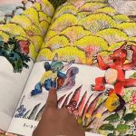 ポケモンのしま