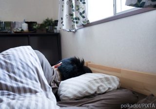 挑発的な態度にイライラ…「反抗期の子に厳しく接する親」が誤解していること