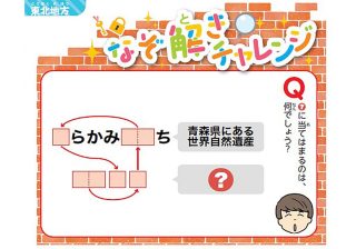 都道府県名の暗記は不要!?  小学生の地理学習を変える「東大生考案の問題集」