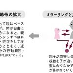 共同注視、共同注意、ミラーリング
