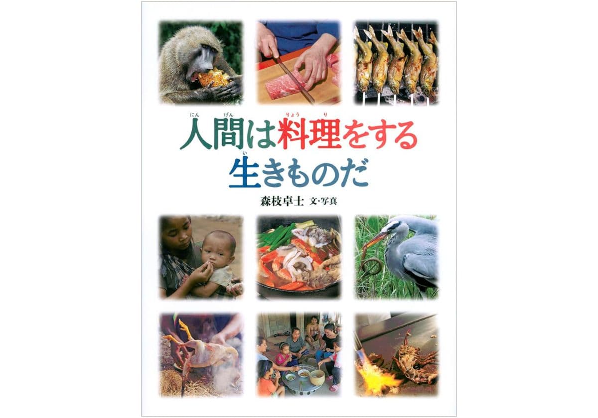 人間は料理をする生きものだ