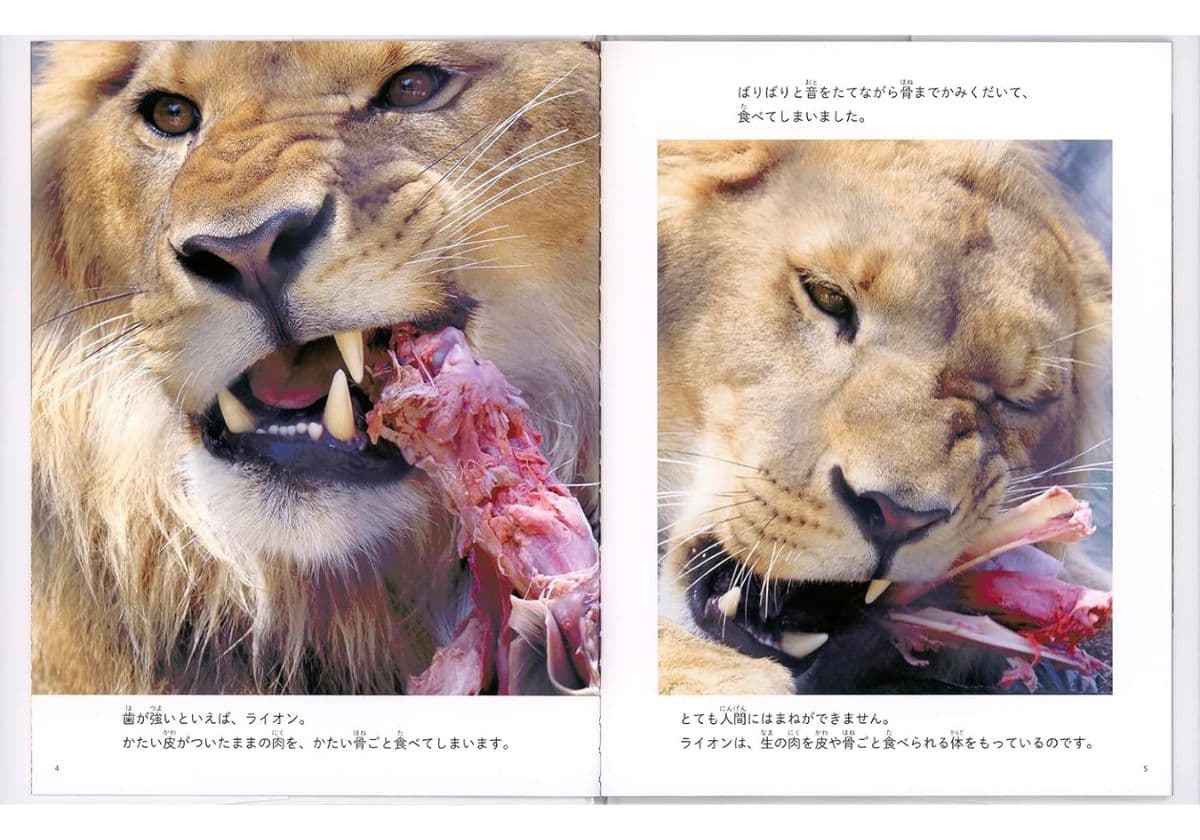 食欲と好奇心が刺激される写真絵本『人間は料理をする生きものだ』【絵本レビュー】の画像1