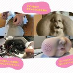 こどもの視点ラボ 著『こどもになって世界を見たら？』(トゥーヴァージンズ)より