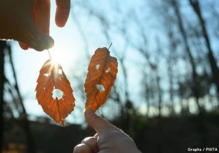 子育てにルールなし？ 手探りで築き上げるバイリンガル家族の子育て法
