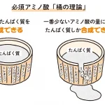 身長先生式 子どもの身長が伸びる食事のルール30
