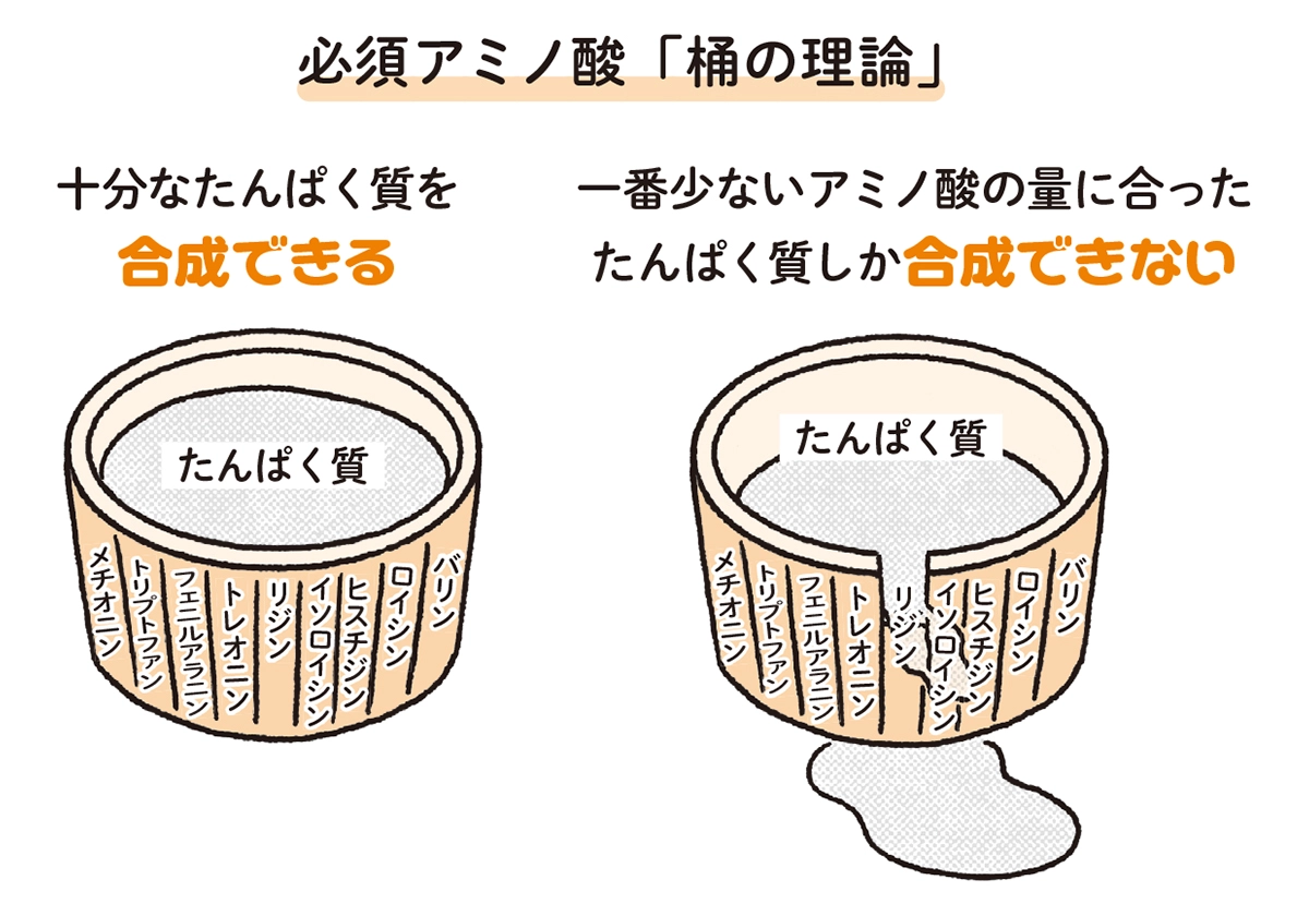 身長先生式 子どもの身長が伸びる食事のルール30