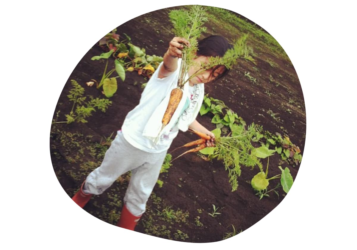 つるのの恩返し