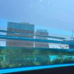 サンシャイン水族館　天空のペンギン水槽