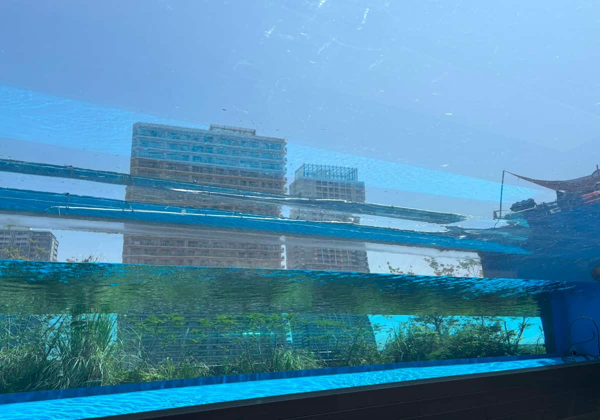 サンシャイン水族館 天空のペンギン水槽