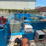 サンシャイン水族館　天空のペンギン水槽