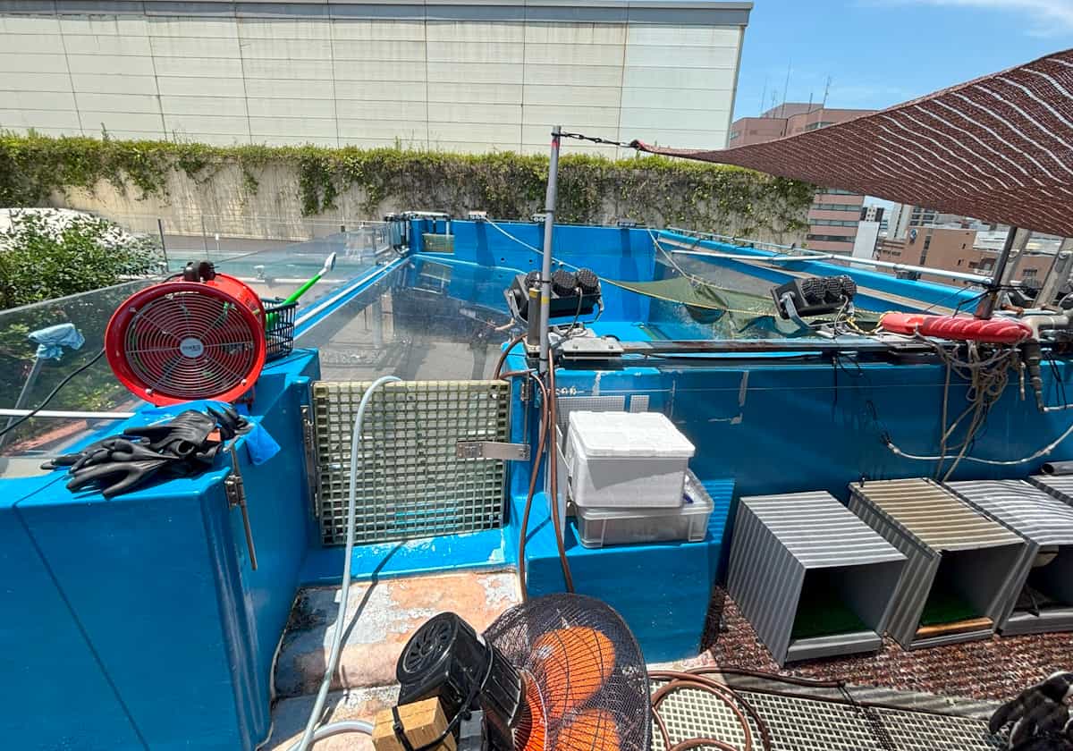 サンシャイン水族館 天空のペンギン水槽