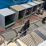 サンシャイン水族館　ペンギン