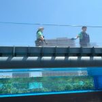 サンシャイン水族館　天空のペンギン水槽