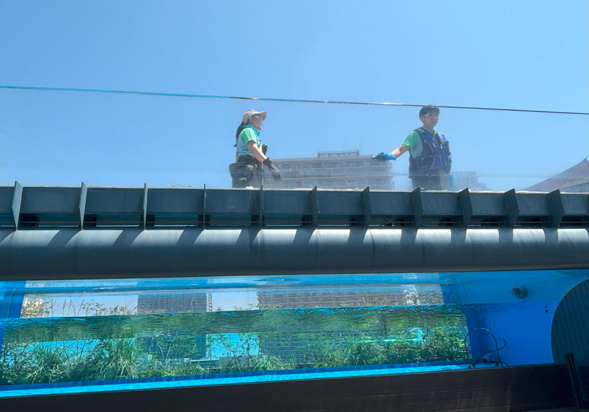 サンシャイン水族館 天空のペンギン水槽