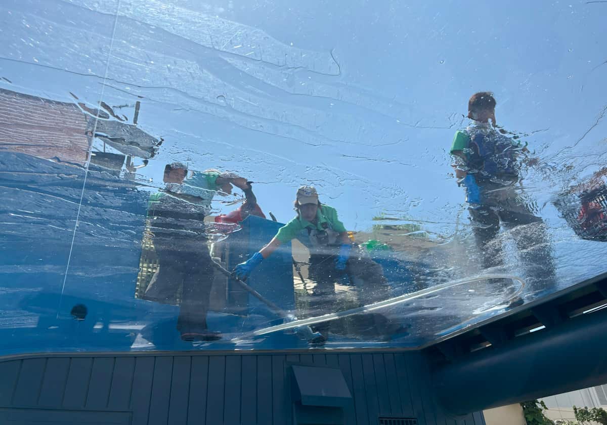 サンシャイン水族館 天空のペンギン水槽