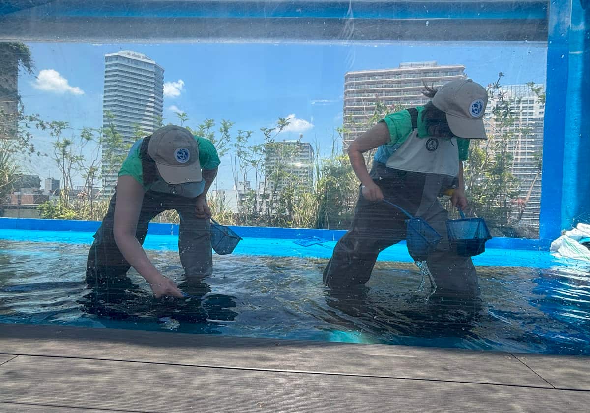 サンシャイン水族館 天空のペンギン水槽