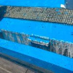 サンシャイン水族館　天空のペンギン水槽