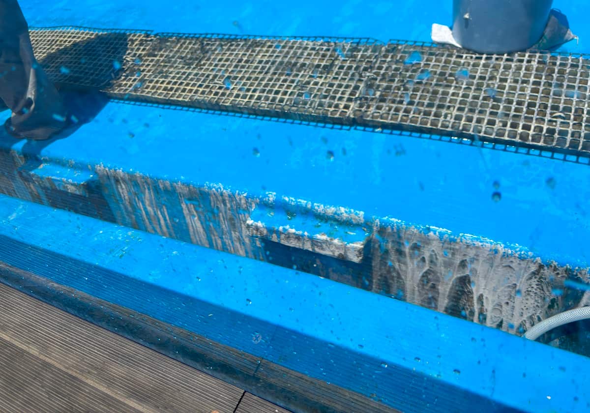 サンシャイン水族館 天空のペンギン水槽