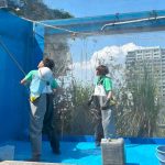 サンシャイン水族館　天空のペンギン水槽