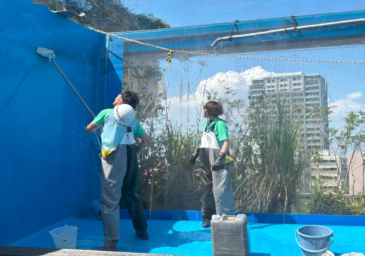 サンシャイン水族館 天空のペンギン水槽