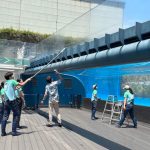 サンシャイン水族館　天空のペンギン水槽