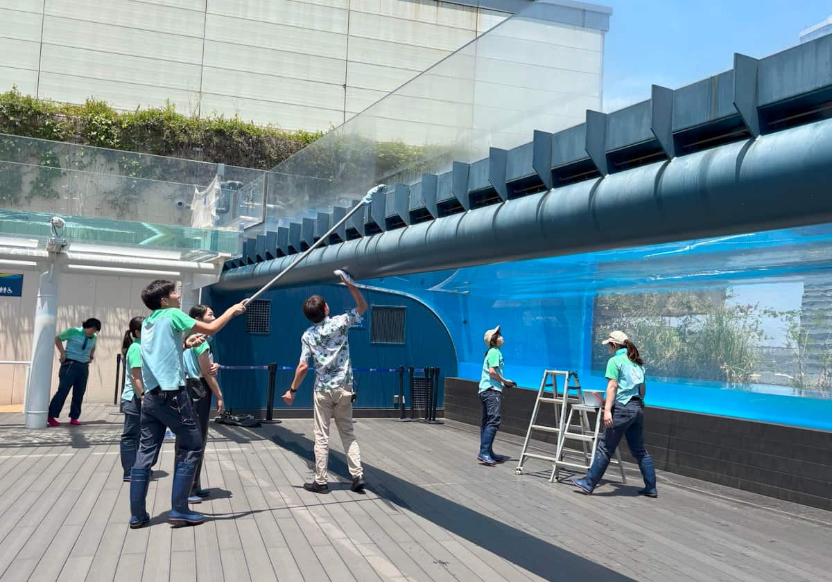 サンシャイン水族館 天空のペンギン水槽