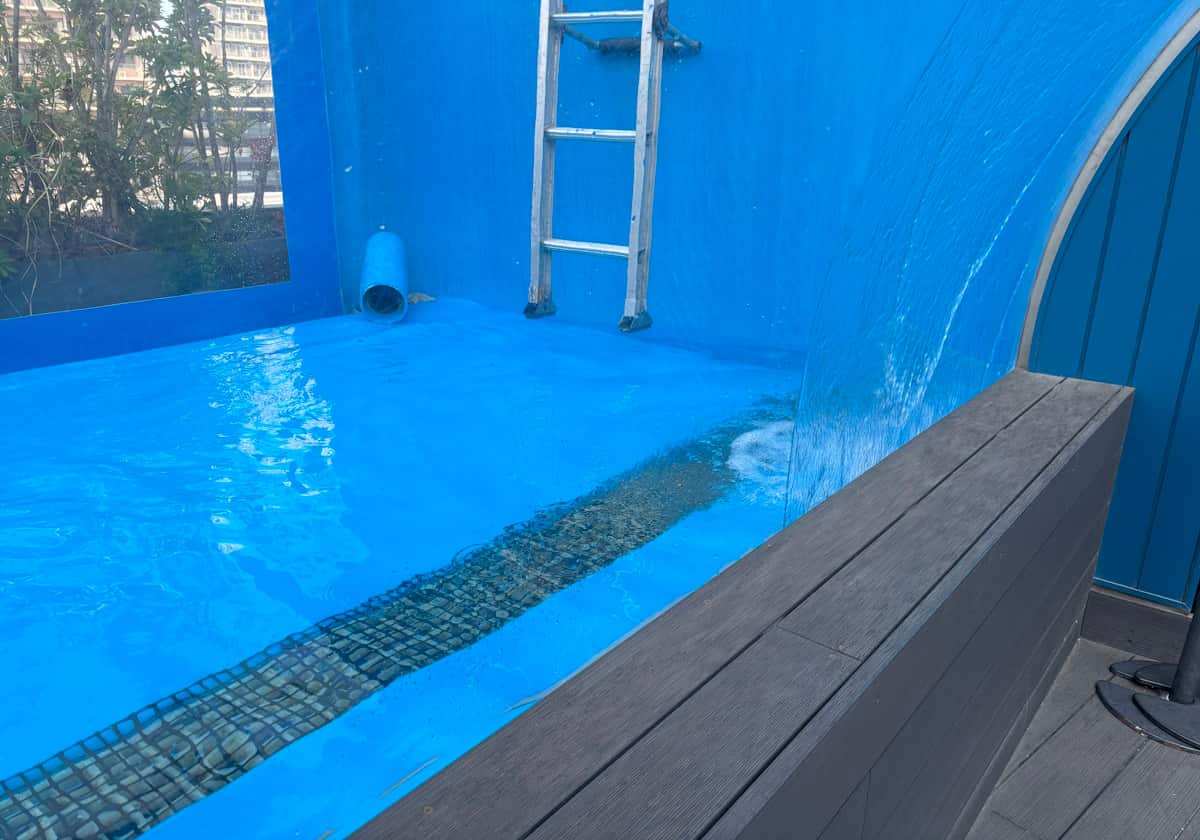 サンシャイン水族館 天空のペンギン水槽