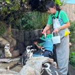 サンシャイン水族館　天空のペンギン