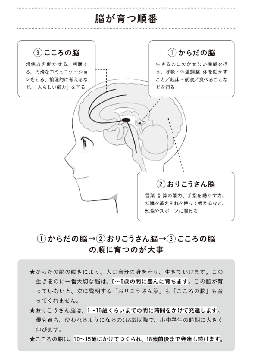 脳が育つ順番