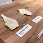 京都祇園漢字ミュージアム