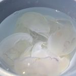 サンシャイン水族 クラゲパノラマ水槽