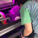 サンシャイン水族 クラゲパノラマ水槽