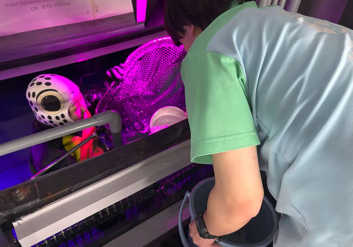 サンシャイン水族 クラゲパノラマ水槽