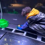 サンシャイン水族 クラゲパノラマ水槽