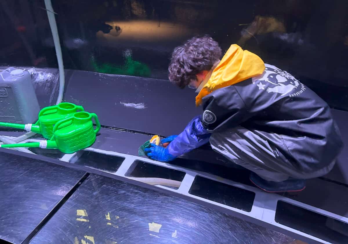 サンシャイン水族 クラゲパノラマ水槽